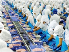 Vietnamese aquatic exports to reach US$8.3 billion