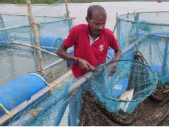 Tại sao nuôi trồng thủy sản lồng bè đang là mốt thịnh hành ở Ấn Độ