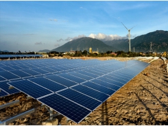 Hợp tác làm điện mặt trời kết hợp nông nghiệp công nghệ cao