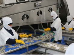 Ecuador tightens up shrimp biosecurity