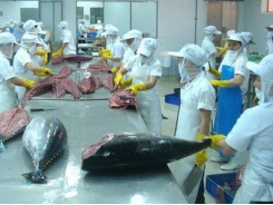 EU, US consumers keen on Vietnamese tuna, shrimp