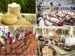 Agricultural products see trade surplus of US$6.2 billion in eight months