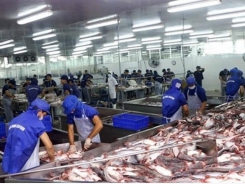 COVID-19 impact causes tra fish exports to China to plummet