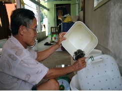 Độc đáo nuôi lươn trong can nhựa, thu nhập hàng trăm triệu đồng