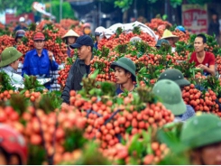 Khế, vải, chanh dây, thanh long Việt hấp dẫn khách châu Âu