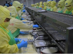 Shrimp exporters eye US$3.6 billion target this year