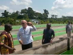 Training Ghana’s tilapia farmers