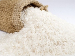 Bangladesh mở thầu mua gạo lần đầu tiên trong vòng 3 năm