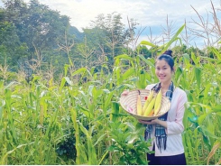 Vietnamese agricultural product journey of two young women