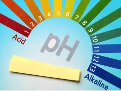 Lý do pH thay đổi giữa buổi sáng và buổi chiều