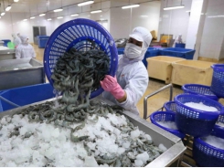 Seafood exports forecasted to prosper in the fourth quarter