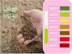 Hỏi, đáp về cách bón phân khôn ngoan