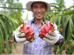 Code for growing area and packing facility helps fruits and vegetables reaching further