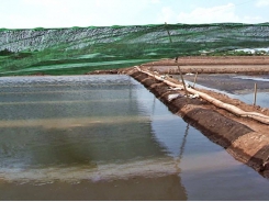 Lưới che nắng - Giải pháp nuôi artemia mùa nóng