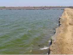 Phân tích chất rắn hòa tan và chất rắn lơ lửng trong nuôi trồng thủy sản