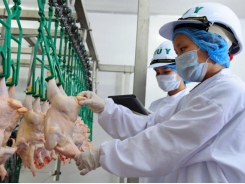 Building disease-free zone is a determinant in poultry exports
