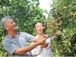 Lão nông mạnh dạn làm giàu