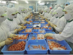 Seafood production in south tumbling