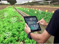 Vietnamese farmers are keenly interested in digitization