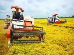 Agricultural troubles hampering business recovery