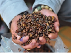 Tận dụng vỏ cà phê để làm trà cascara cao cấp