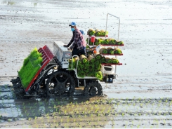 Ensuring a successful autumn-winter crop