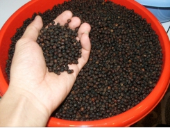Pepper industry makes five recommendations to overcome difficulties amidst pandemic
