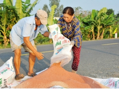 Fertilizer prices skyrocket, farmers in distress