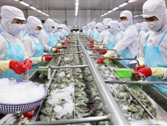 Seafood processors in difficult spot