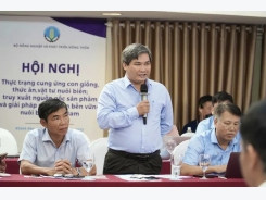 Việt Nam sắp làm chủ công nghệ sản xuất giống tôm hùm bông