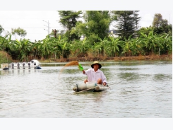 Xây dựng chuỗi liên kết, tạo giá trị xanh cho cá rô phi Việt