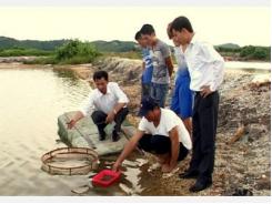 Triển Vọng Từ Mô Hình Cua Xanh Thương Phẩm Ở Tiến Tới (Quảng Ninh)