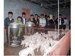 Trang Trại Chăn Nuôi Lợn Thịt Đầu Tiên Của Tỉnh Được Cấp Chứng Nhận VietGAHP
