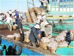 2.600 Tỷ Đồng Phát Triển Thủy Hải Sản Ở Đồng Bằng Sông Cửu Long
