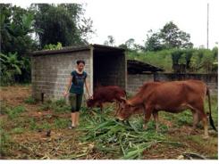 Không Chủ Quan Trong Phòng, Chống Bệnh Nhiệt Thán