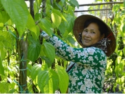 Đổi thay ở xã Anh hùng Vị Thủy
