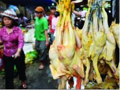 Ngăn chặn chất cấm vào thực phẩm