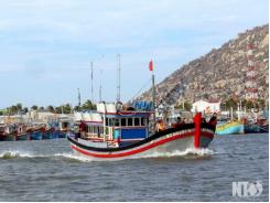 Ngư dân Thuận Nam vươn khơi đánh bắt vụ cá Bấc