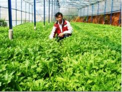 Nông dân thuê nhà nước giám sát sản phẩm