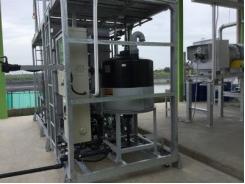 New shrimp breeding model produces power