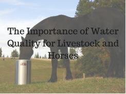 The Importance of Water Quality for Livestock and Horses