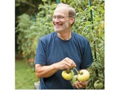 Compact Tomato Plants Yield Full-Size Flavors