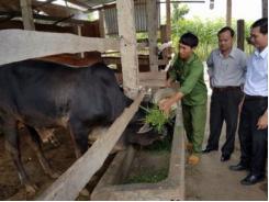 Nhờ vốn ngân hàng, giấc mơ làm chủ trang trại đã thành sự thực