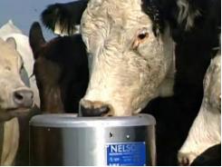 Automatic Livestock Waterers: Preparing for Winter