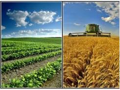 Goverment to promote high-tech agriculture