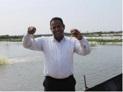 Selection for disease resistance in Indian white shrimp