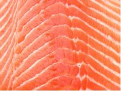 Omega-3 levels fall in farmed salmon but it’s still a top source
