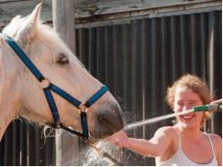 Keep Your Horses Hydrated and Their Waterer Clean