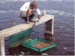 Water Quality Parameter Analysis for the Feasibility of Shrimp Culture