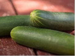 Cucumbers in containers